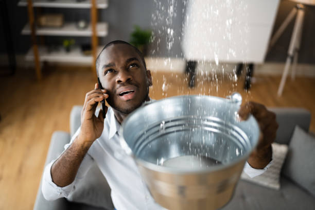 Best Water damage contractors near me  in Yucos, CA