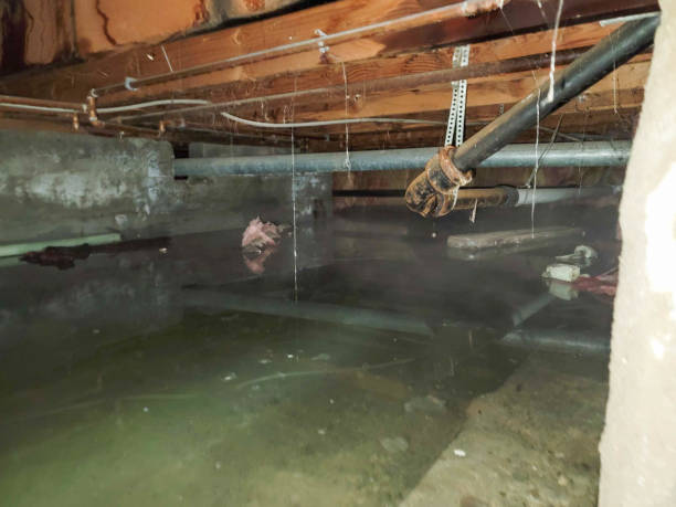 Best Ceiling water damage repair  in Yucos, CA