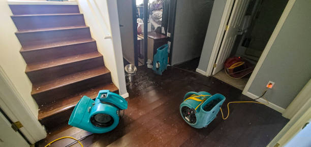 Best Water damage restoration near me  in Yucos, CA
