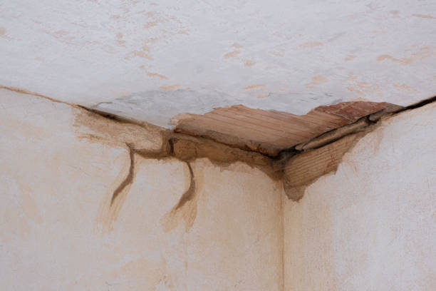Best Local water damage restoration  in Yucos, CA