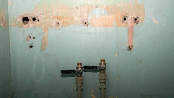 Best Flood restoration services  in Yucos, CA